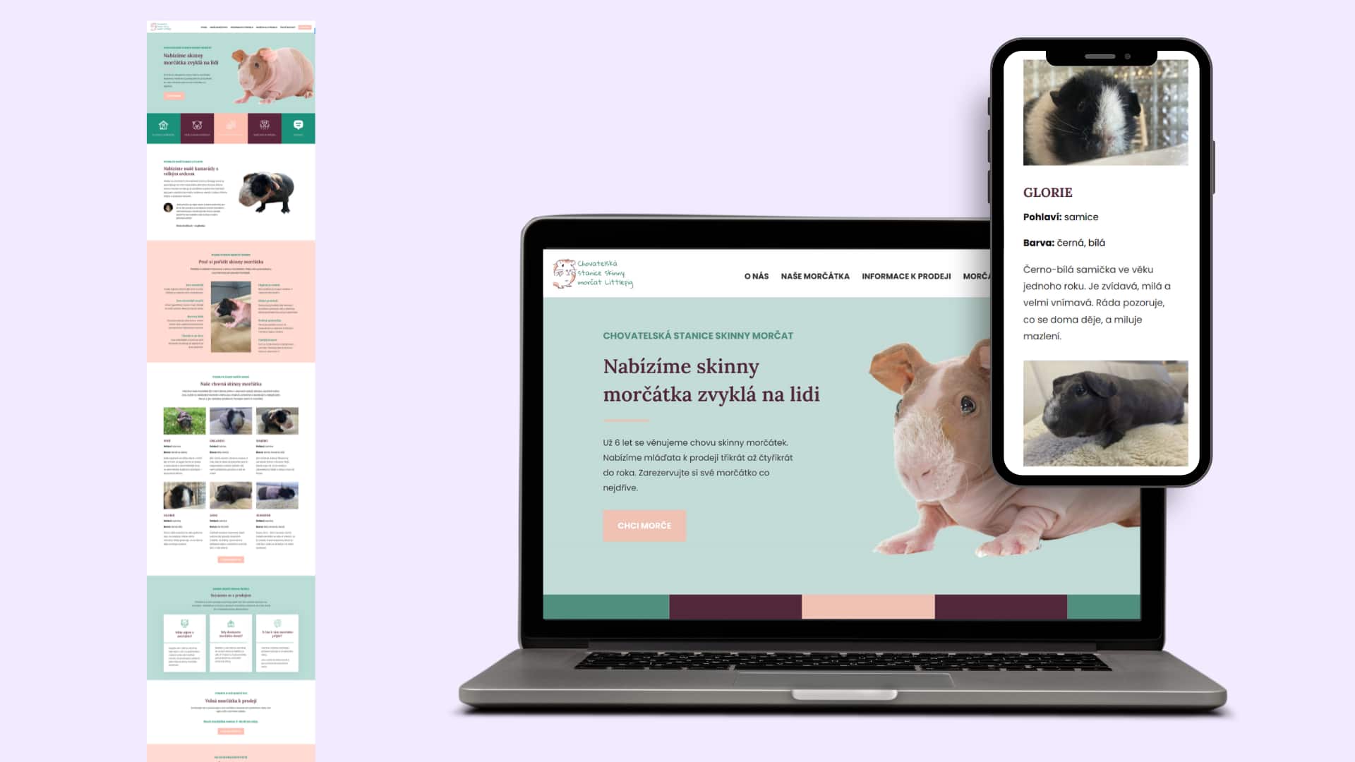 ukazky webu morcata webonautka